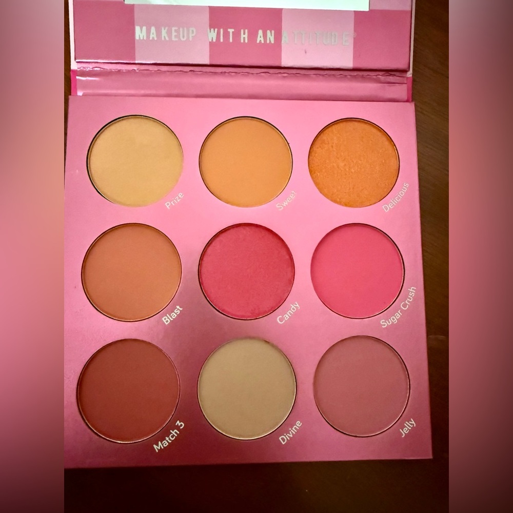 RUDE Blush Crush 9 Color Blush Palette 💖Condition: New in Box (NIB)